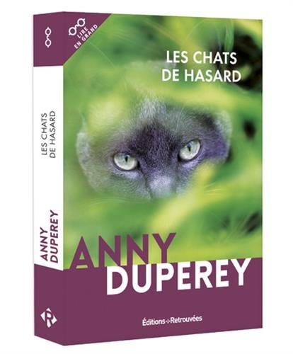 les chats de hasard  