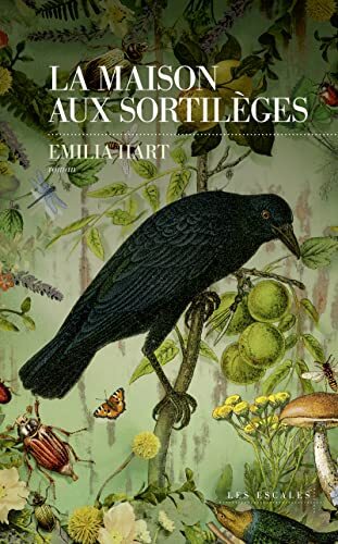 la maison aux sortilèges  