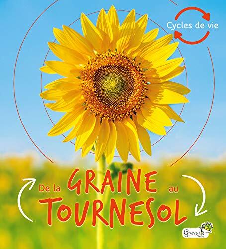 de la graine au tournesol