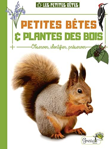 petites bêtes & plantes des bois