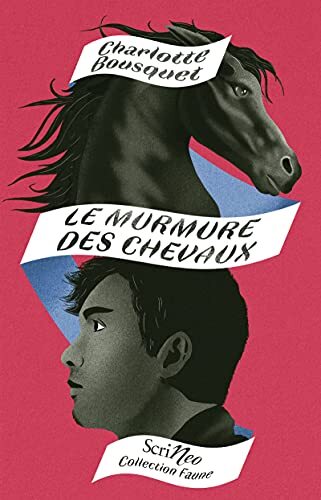 le murmure des chevaux  