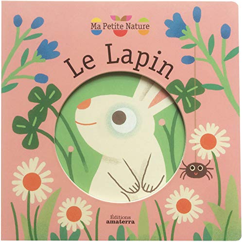 le lapin  