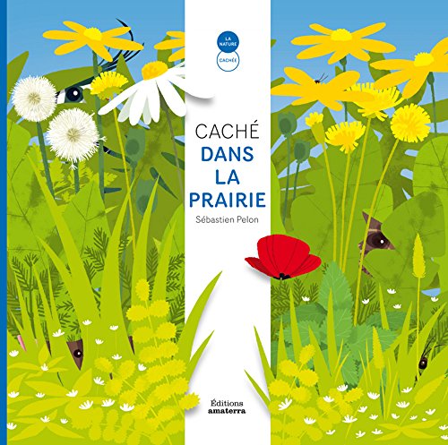 caché dans la prairie