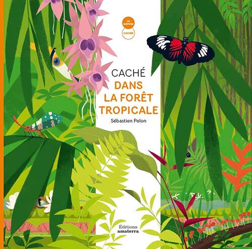 caché dans la forêt tropicale