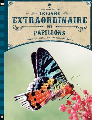 le livre extraordinaire des papillons  