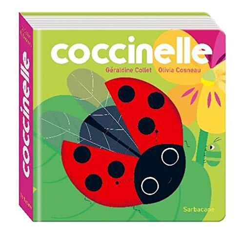 coccinelle
