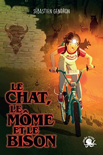le chat, le môme et le bison  