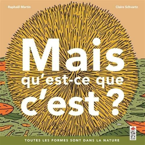 mais qu'est-ce que c'est ?