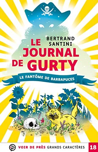 le fantôme de barbapuces  