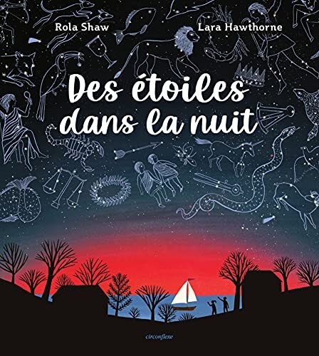 des étoiles dans la nuit  