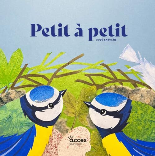 petit à petit