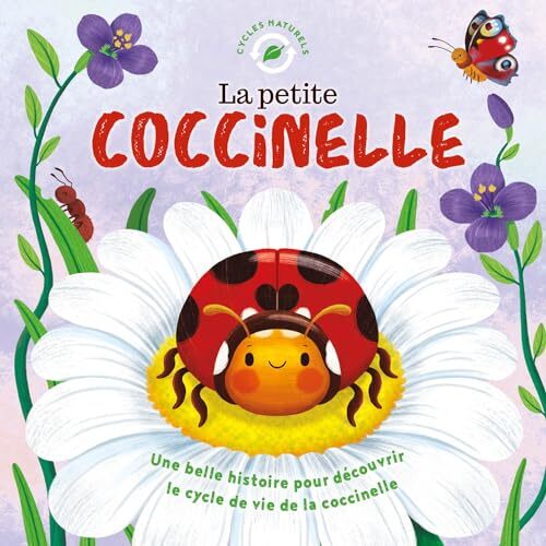 la petite coccinelle  