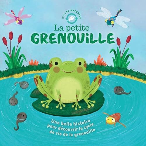 la petite grenouille  