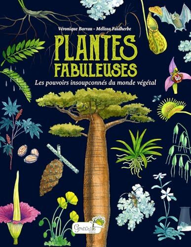 plantes fabuleuses