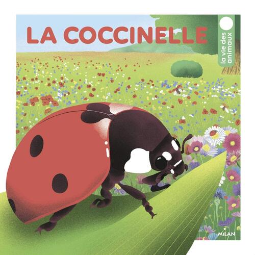 la coccinelle  