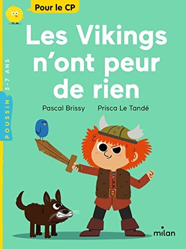 les vikings n'ont peur de rien  