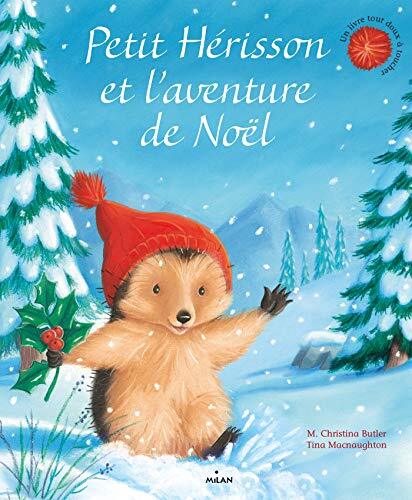 petit hérisson et l'aventure de noël