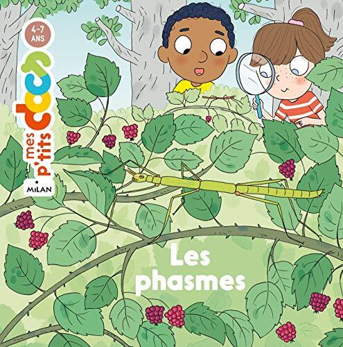 les phasmes  