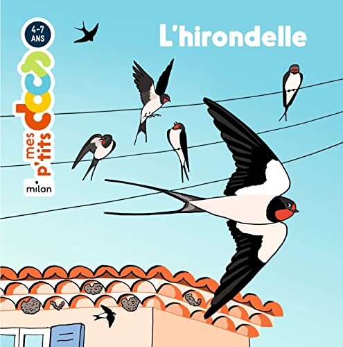 l' hirondelle  