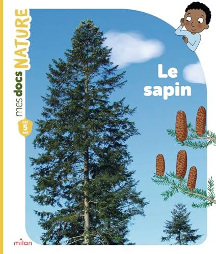 le sapin  