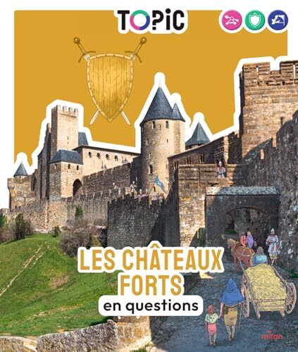 les châteaux forts en questions  