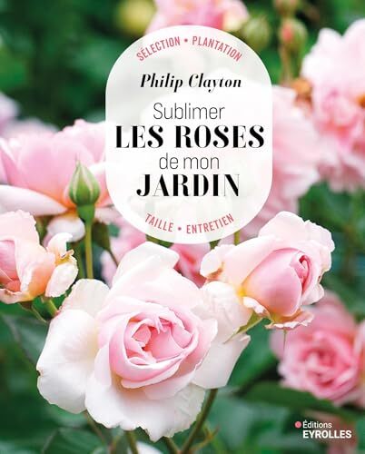 sublimer les roses de mon jardin