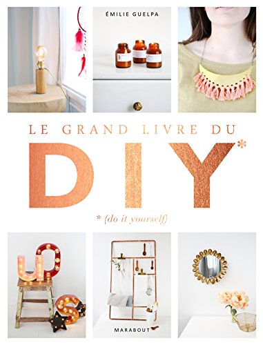 le grand livre du diy  