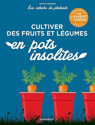 cultiver des fruits et légumes en pots insolites