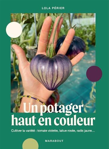 un potager haut en couleur  