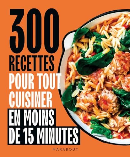 300 recettes pour tout cuisiner en moins de 15 minutes