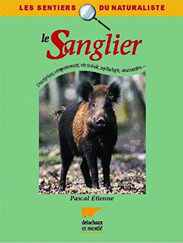le sanglier  