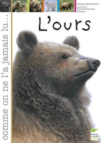l' ours  
