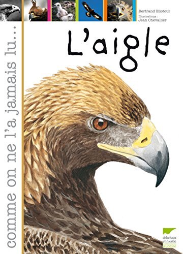 l' aigle  