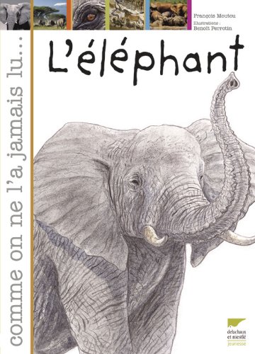 l' éléphant  