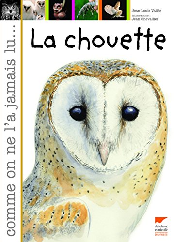 la chouette  
