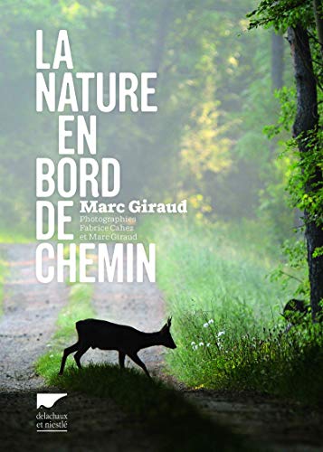 la nature en bord de chemin  