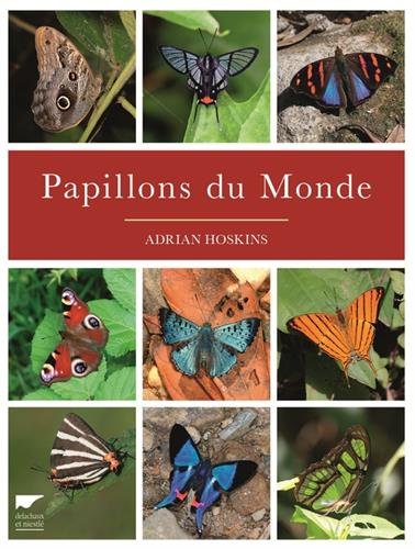papillons du monde