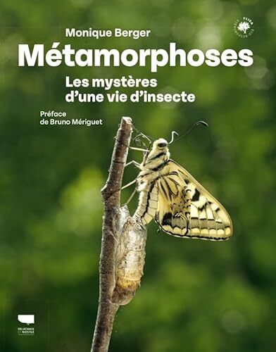 métamorphoses