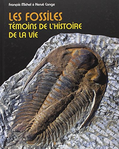 les fossiles  
