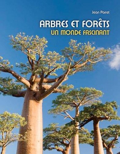 arbres et forêts