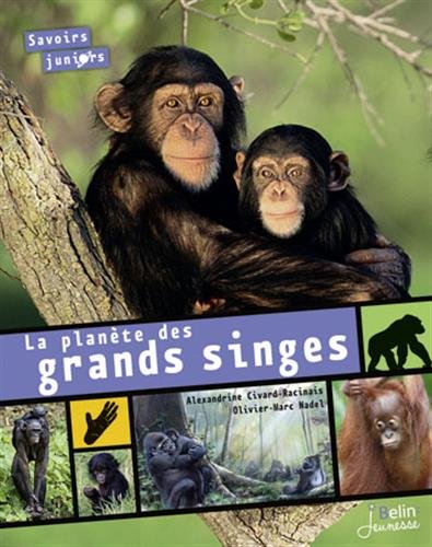 la planète des grands singes  