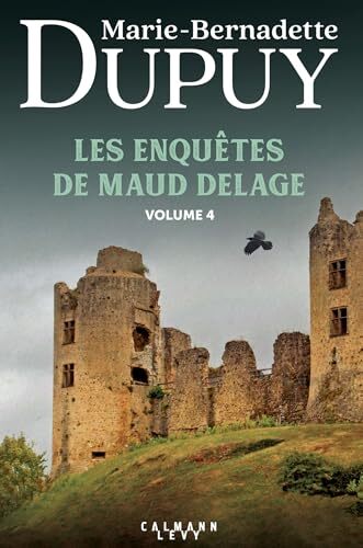 les enquêtes de maud delage  