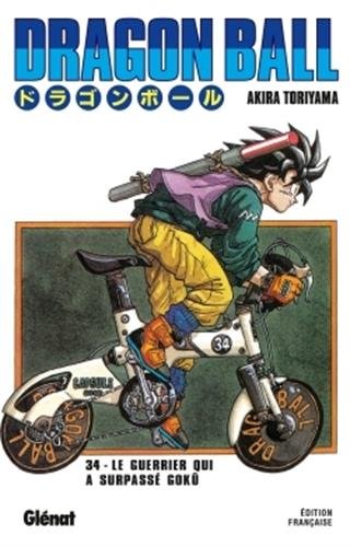 dragon ball [34]