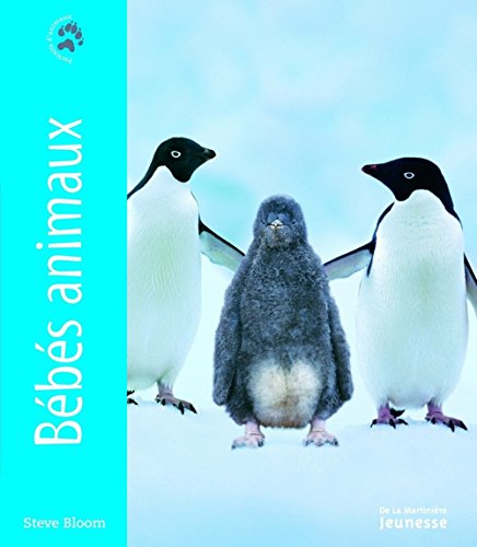 bébés animaux
