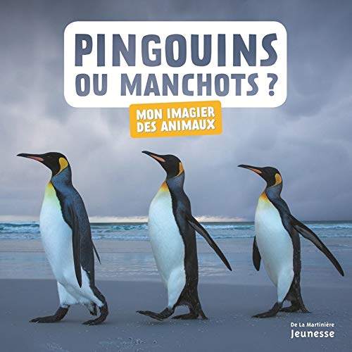 pingouins ou manchots ?