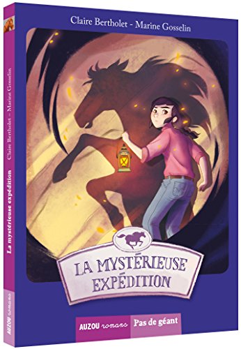 la mystérieuse expédition  