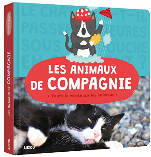 les animaux de compagnie  