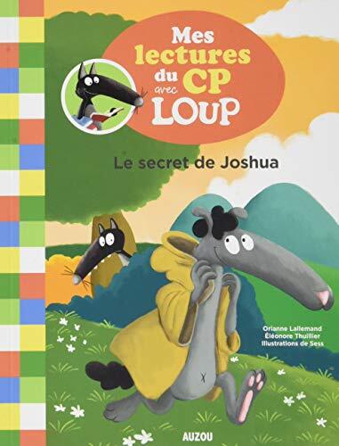 mes lectures du cp avec loup - le secret de joshua - tome 3