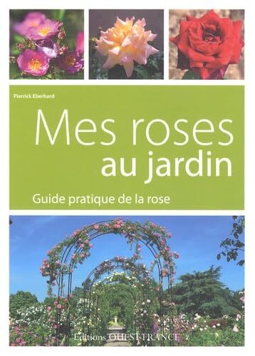 mes roses au jardin