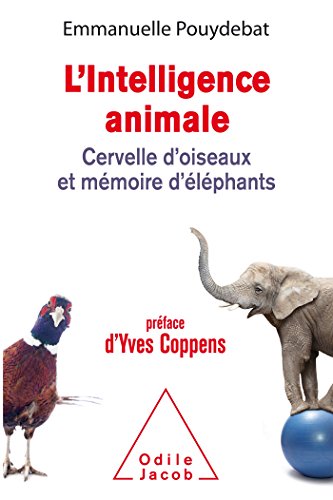 l' intelligence animale  